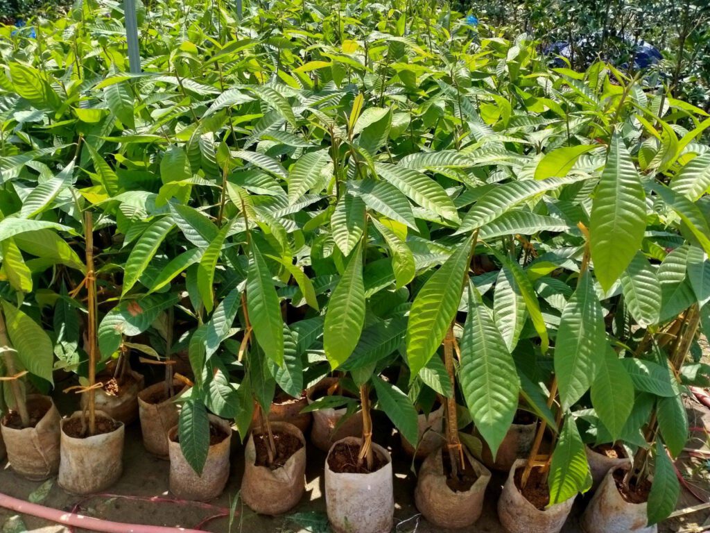 d994f53c9a6d65333c7c