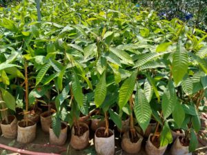 d994f53c9a6d65333c7c