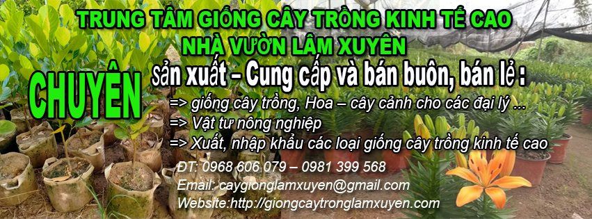 banner cay trong lam xuyen 1
